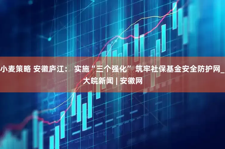 小麦策略 安徽庐江： 实施“三个强化” 筑牢社保基金安全防护网_大皖新闻 | 安徽网